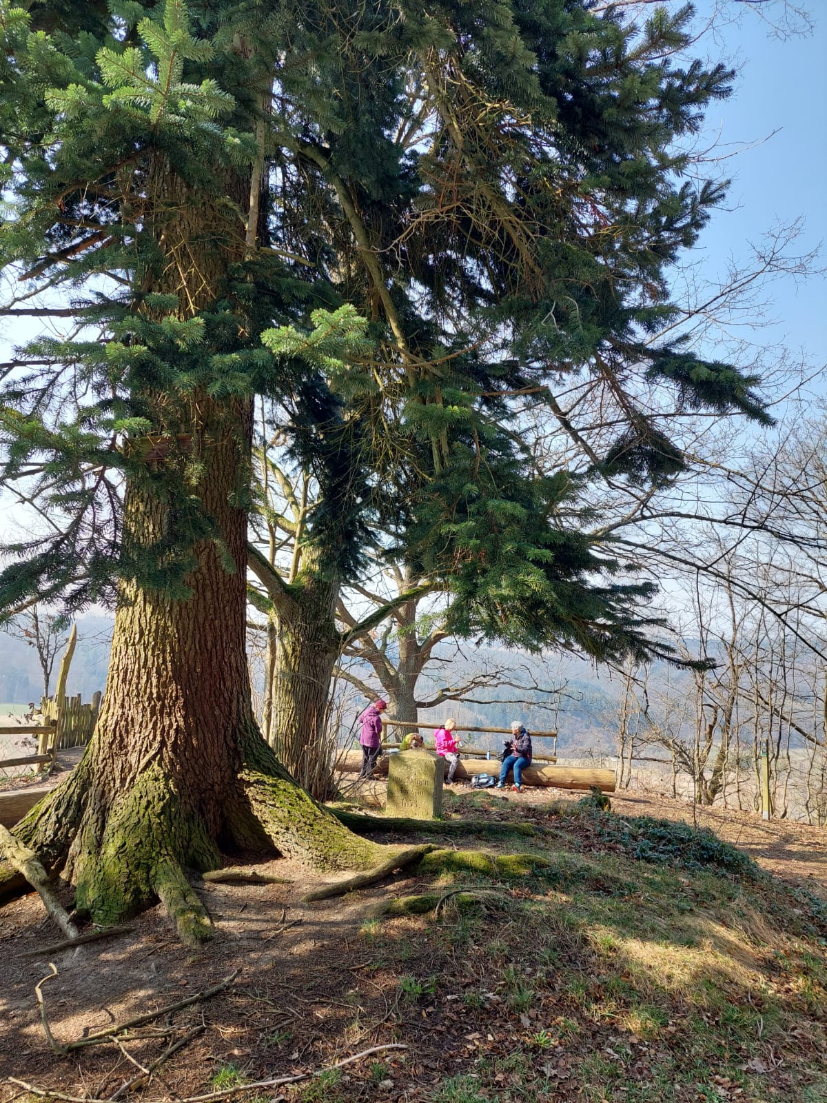 Landschaft